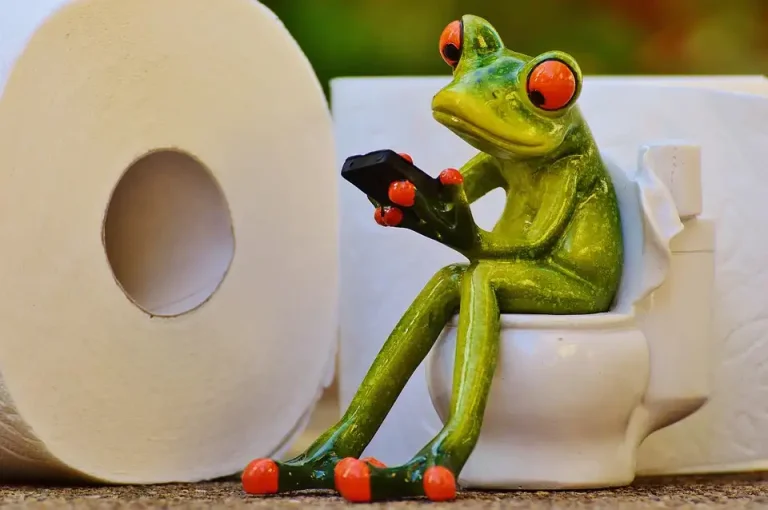 toilet repairs north shore